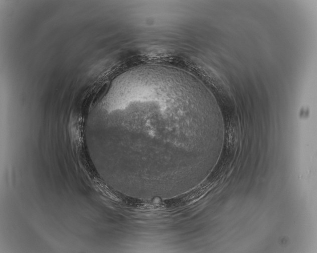 X0000094461346200711151441