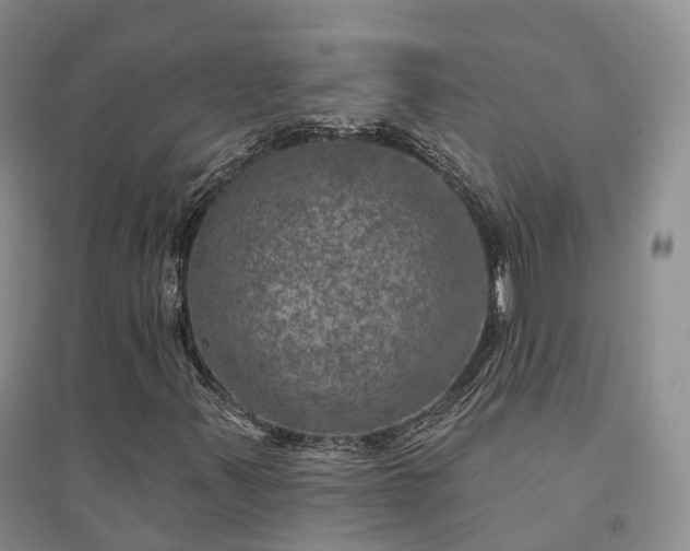 X0000094461347200711151441