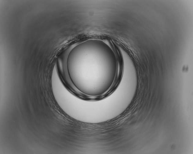 X0000094461348200711151441
