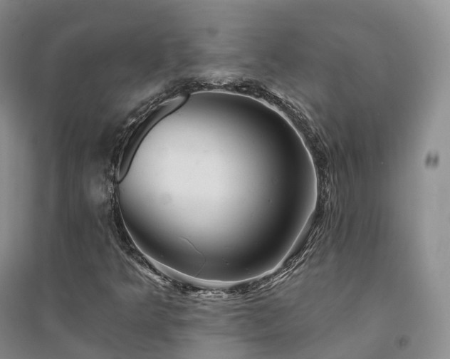 X0000094461349200711151441