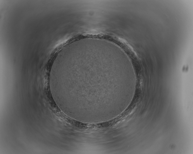 X0000094461350200711151441