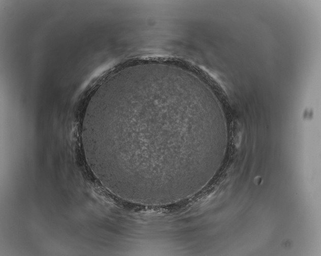 X0000094461351200711151441