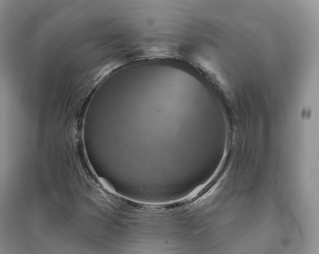 X0000094461353200711151441