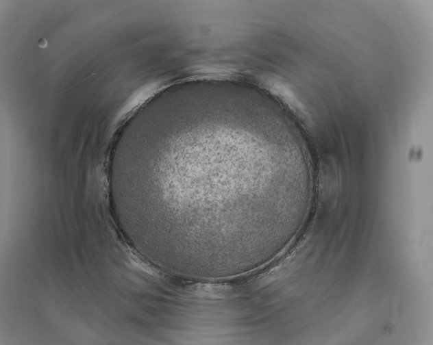X0000094461354200711151441