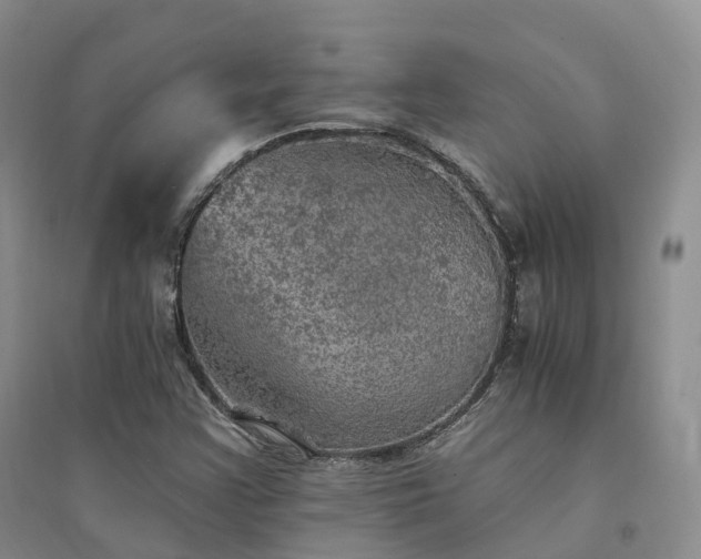 X0000094461355200711151441