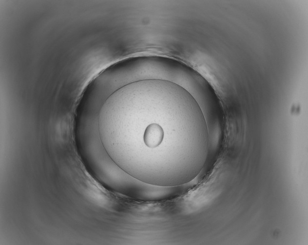 X0000094461356200711151441