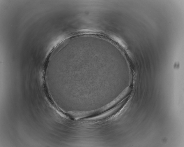 X0000094461357200711151441