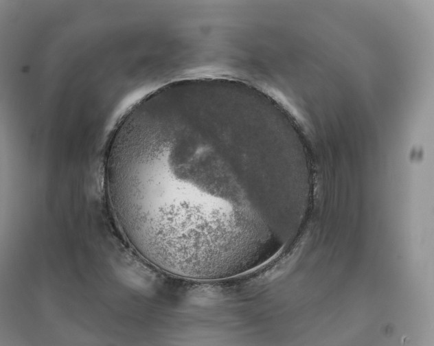 X0000094461358200711151440