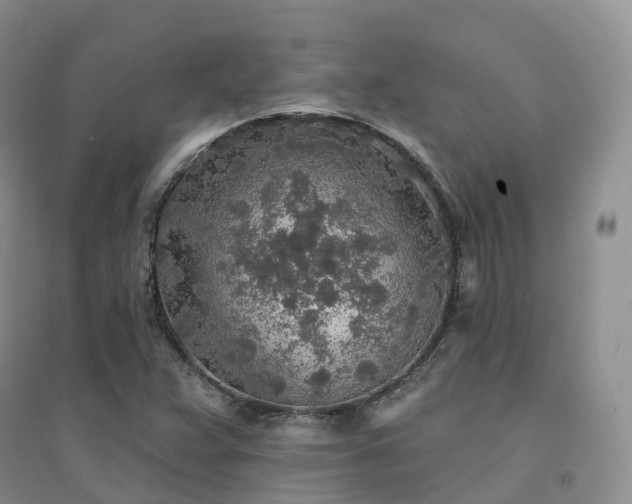 X0000094461359200711151440