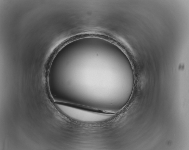 X0000094461360200711151440