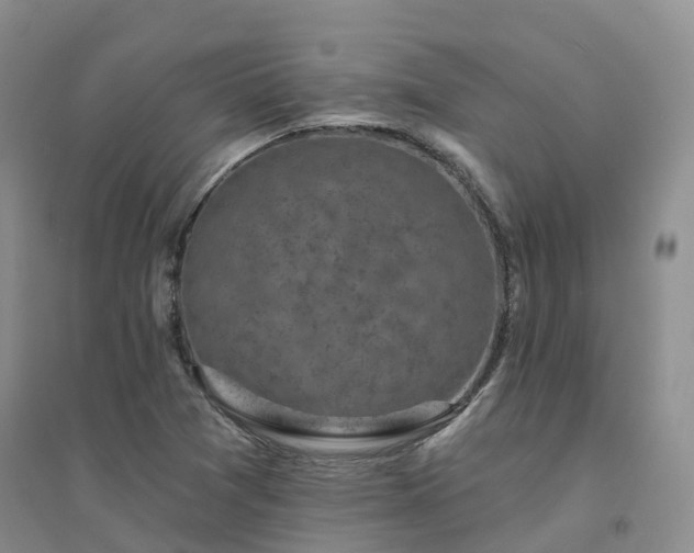X0000094461361200711151440