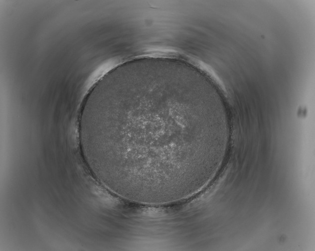 X0000094461362200711151440