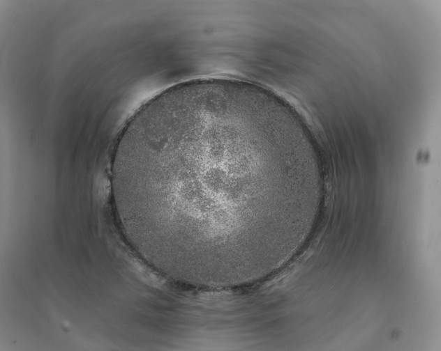 X0000094461363200711151440