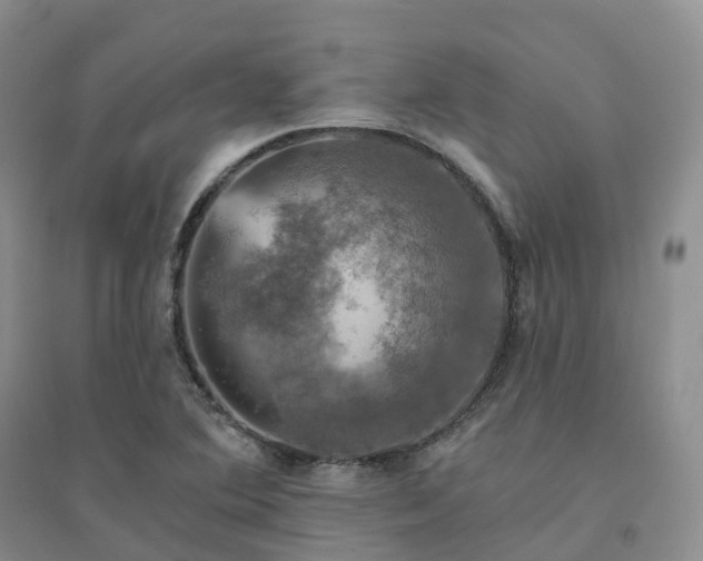 X0000094461364200711151440
