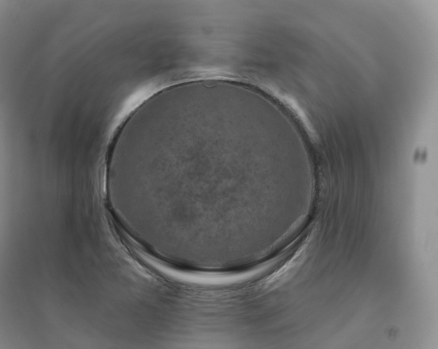 X0000094461365200711151440