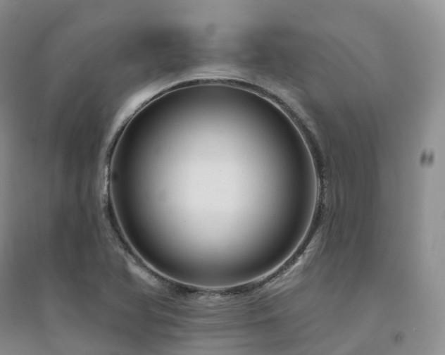 X0000094461366200711151440