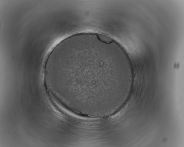 X0000094461367200711151440