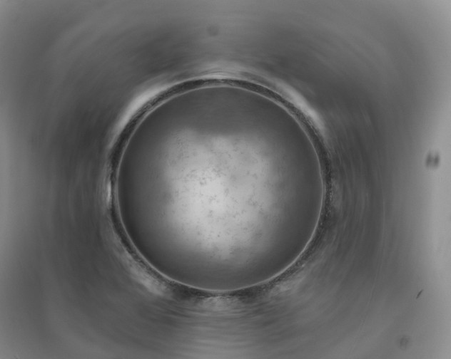 X0000094461368200711151440