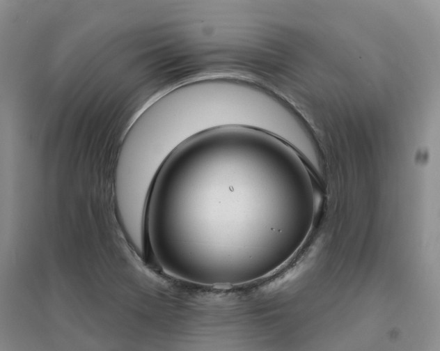 X0000094461369200711151440
