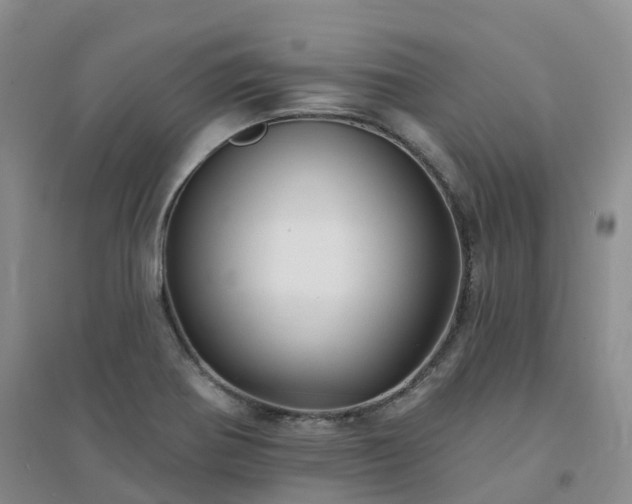 X0000094461370200711151440