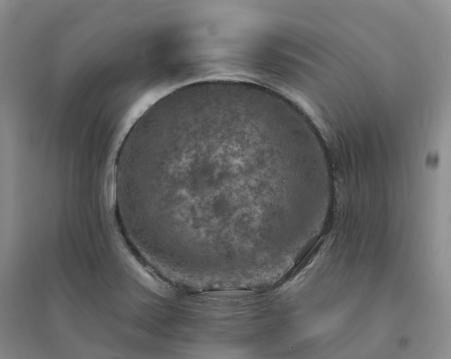 X0000094461371200711151440