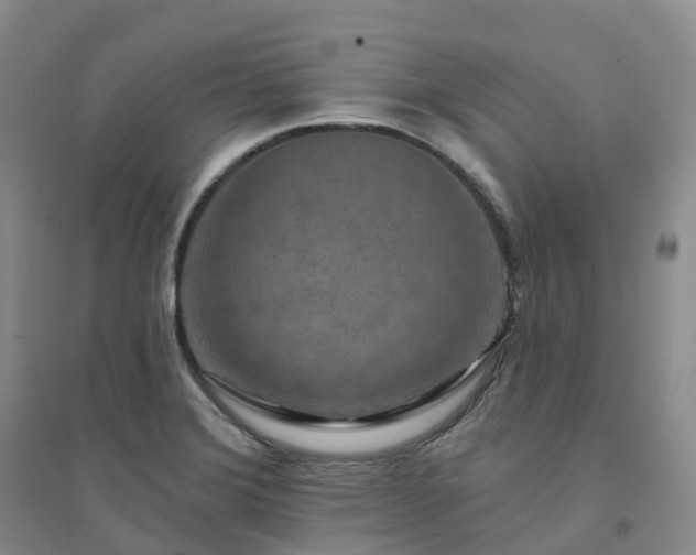 X0000094461372200711151440