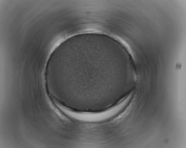 X0000094461373200711151440
