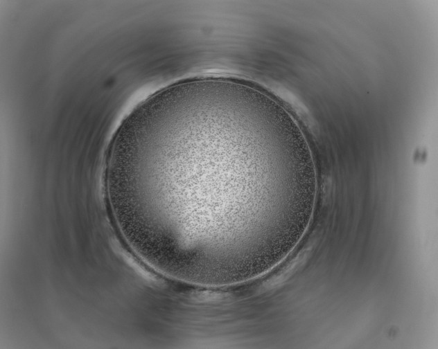 X0000094461374200711151440