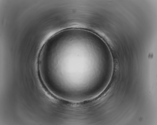 X0000094461375200711151440