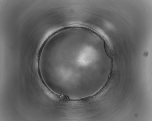 X0000094461376200711151440