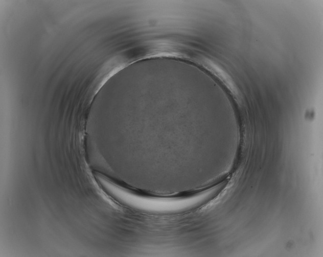X0000094461377200711151440