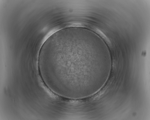 X0000094461378200711151440