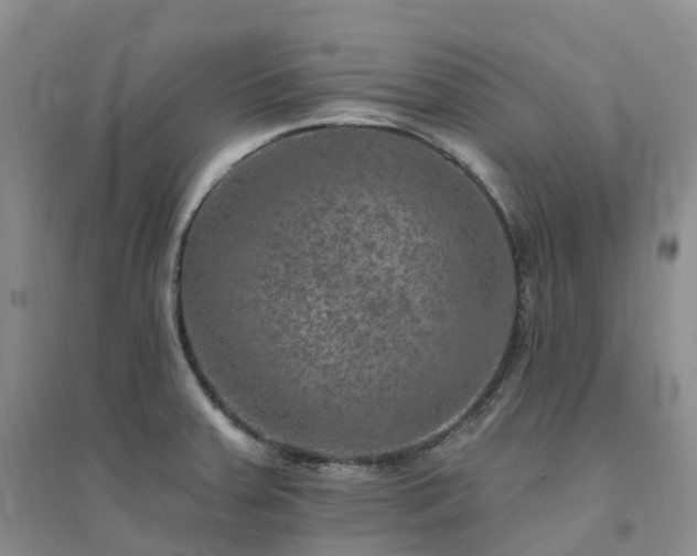 X0000094461379200711151440