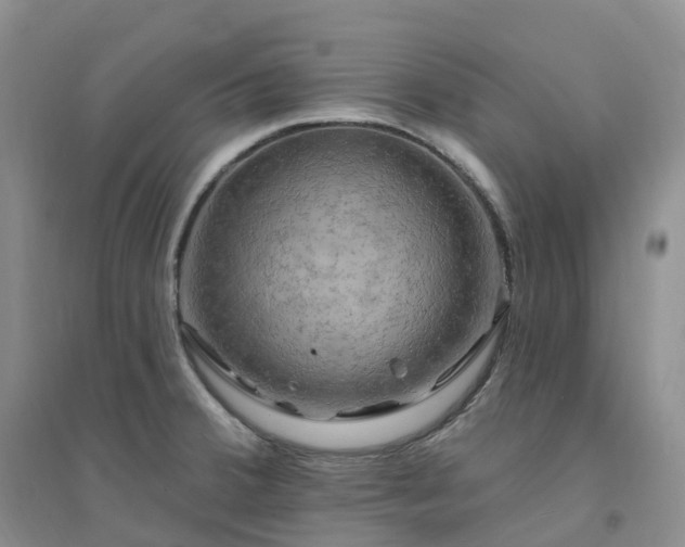 X0000094461380200711151440