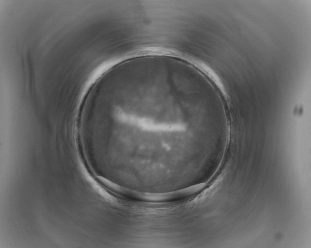X0000094461381200711151440
