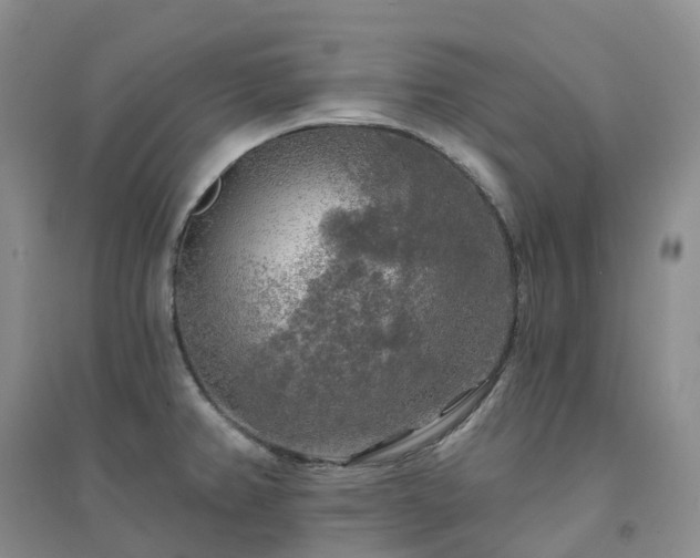X0000094461382200711151440