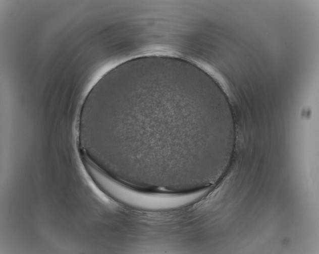 X0000094461383200711151440