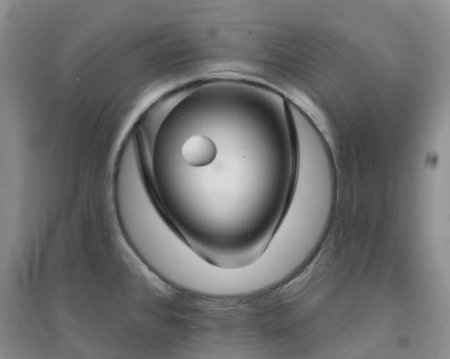 X0000094461384200711151440