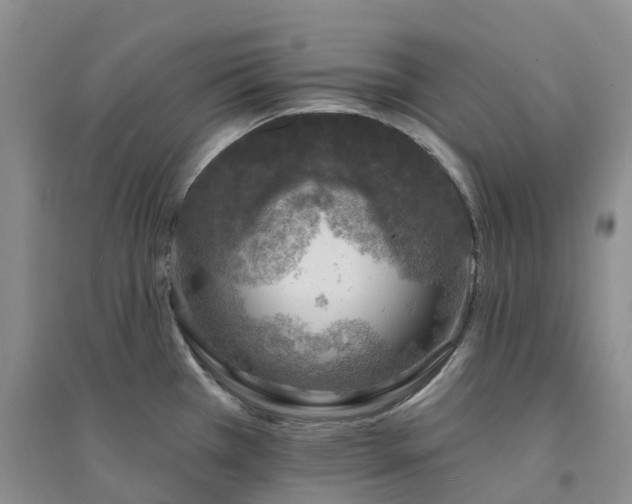X0000094461385200711151440