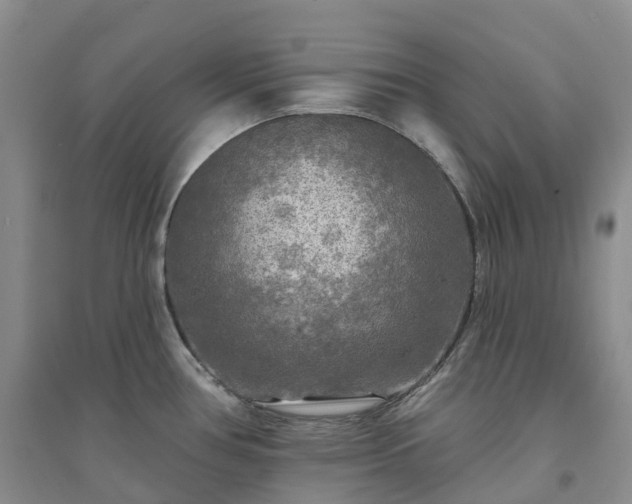 X0000094461386200711151440