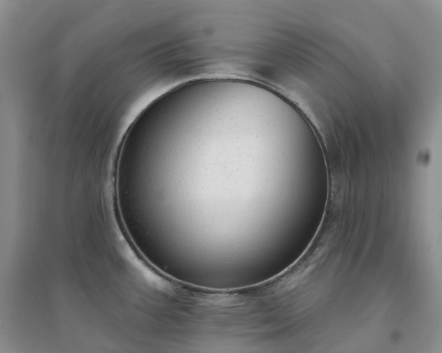 X0000094461387200711151440