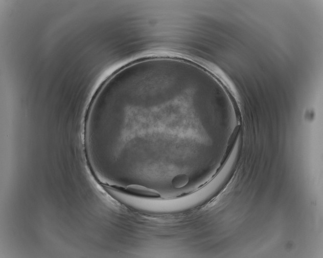 X0000094461388200711151440
