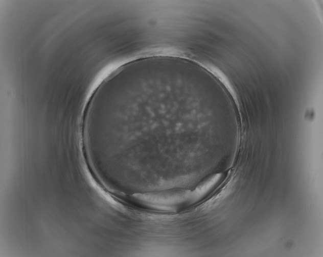 X0000094461389200711151440