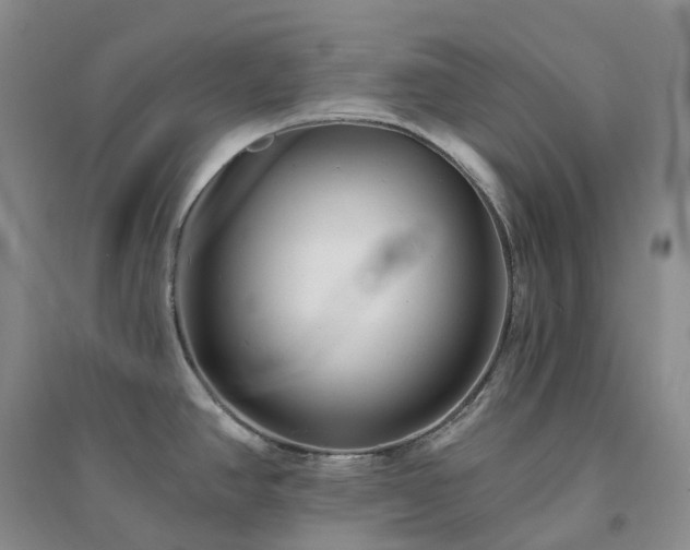 X0000094461390200711151440