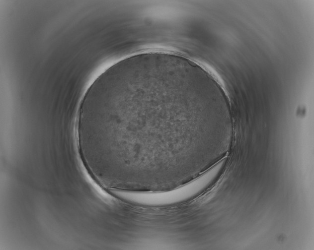 X0000094461391200711151440