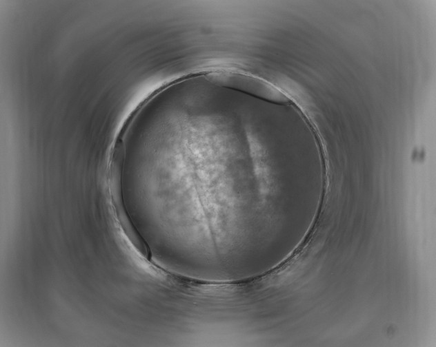 X0000094461392200711151440