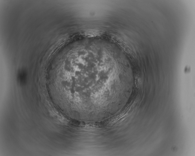 X0000094461393200711151439