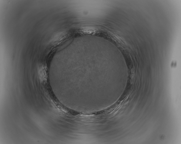 X0000094461394200711151439