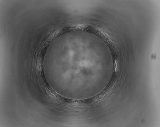X0000094461395200711151439