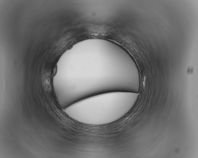 X0000094461396200711151439